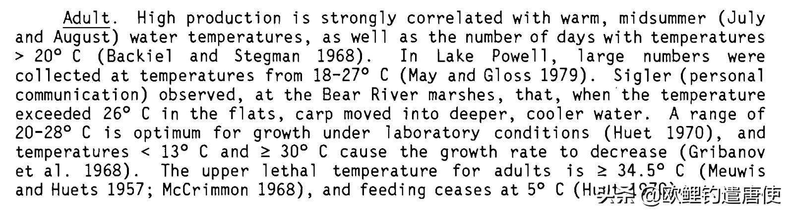 夏季下雨过后钓鱼应如何选择钓位,夏季垂钓这3个钓位上鱼超多