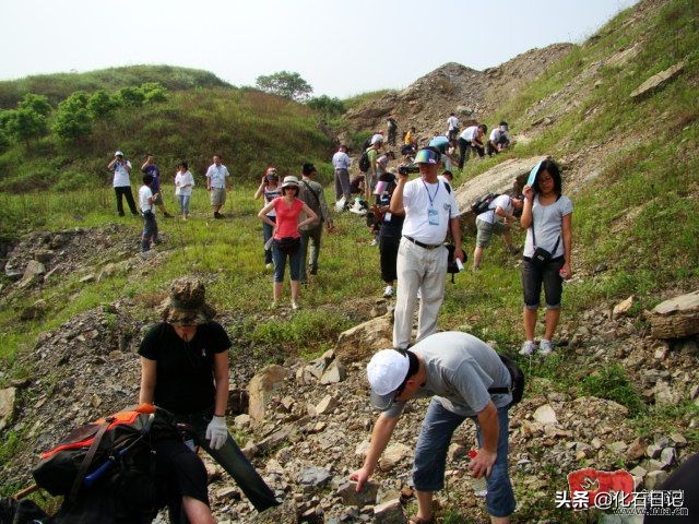 如果你的父亲正在从事中国最冷门的行业，你该去怎样支持他？