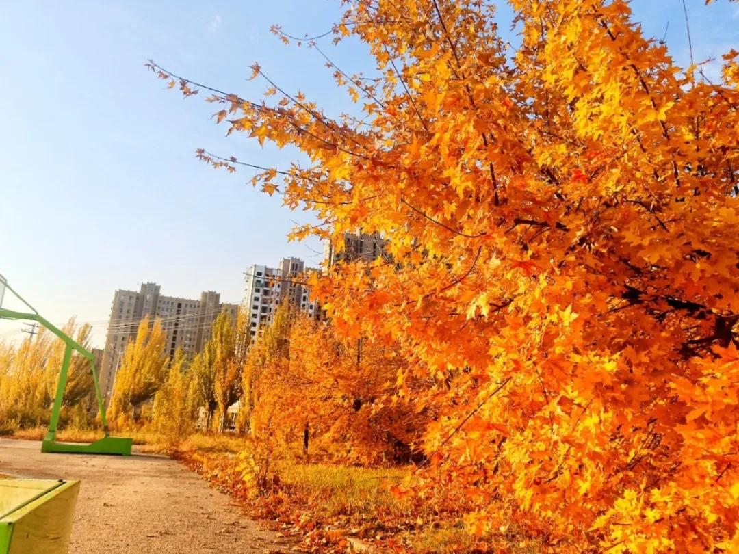 营口理工现状,营口理工不信谣不传谣