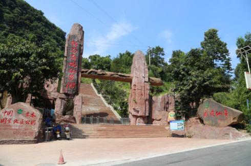 遵义最美乡村旅游图,遵义周边乡村旅游的地方