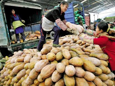 一手水果批发货源网站,水果批发怎样找产地货源