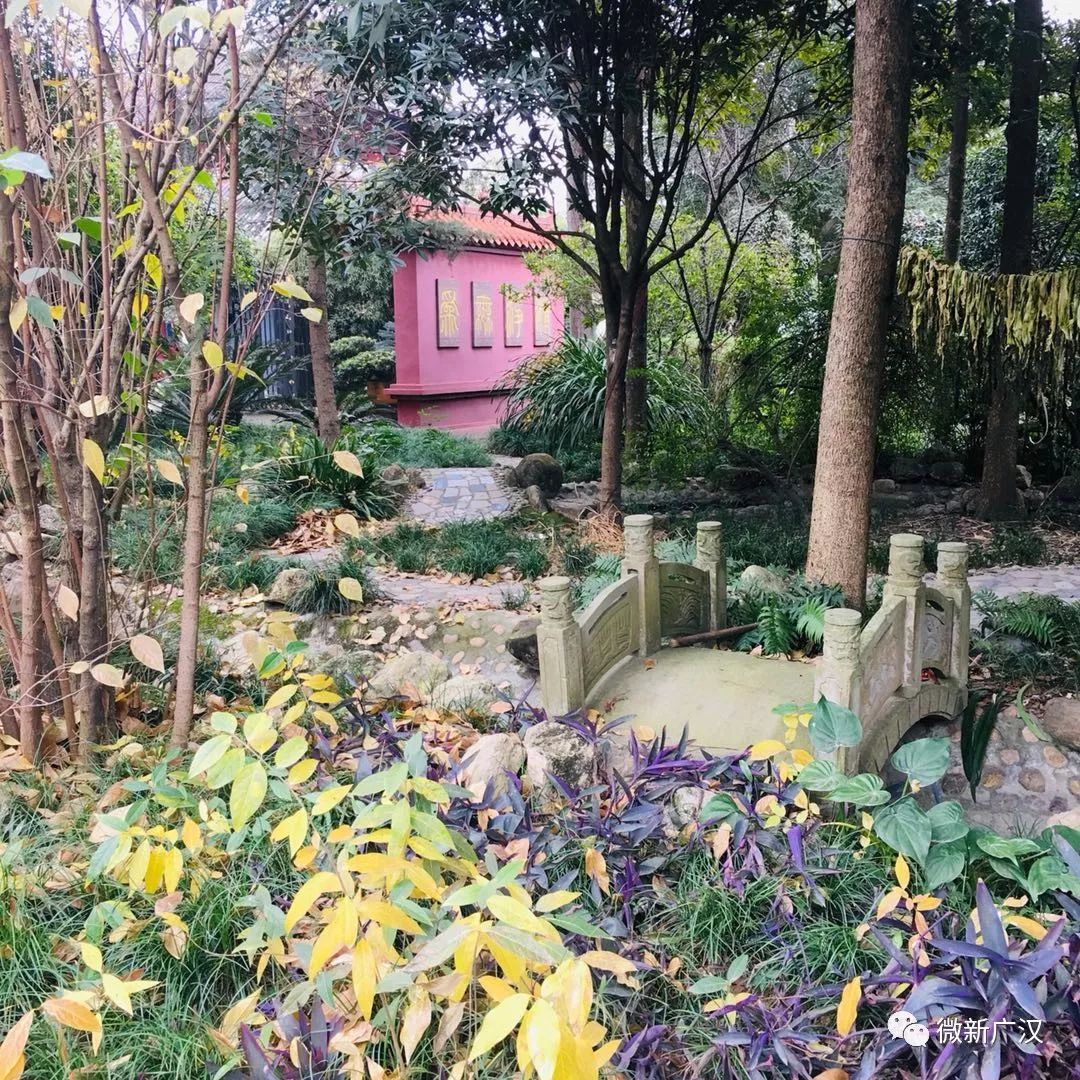 游记|来和兴吧!这里的美景美食每一样都超skr~