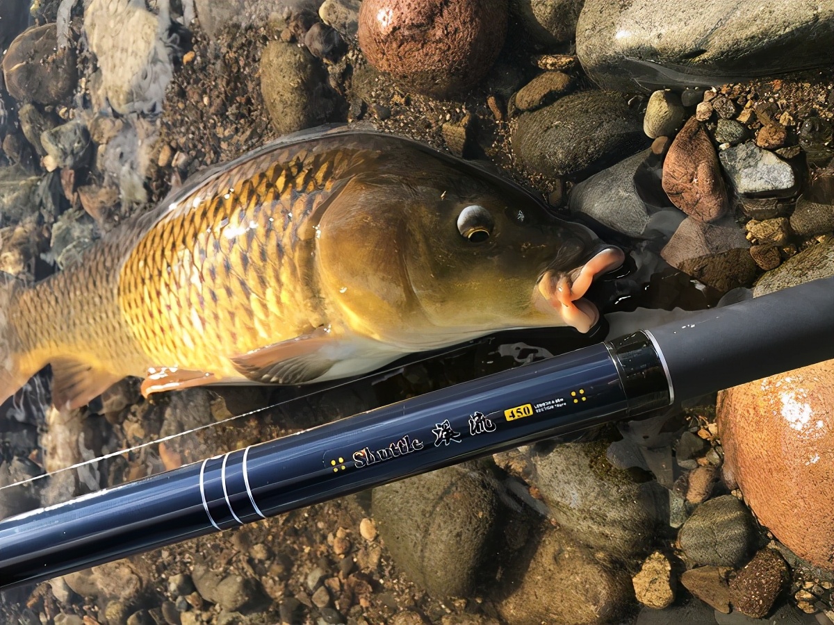 鱼竿的价格是怎么打下来的,鱼竿最近价格为什么便宜了