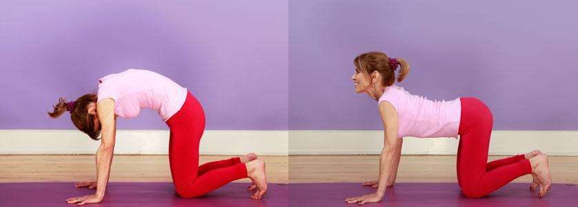 适合早上练的瑜伽动作视频,适合早上做的瑜伽动作