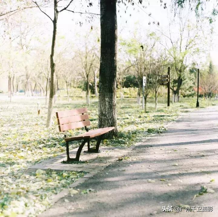 摄影必学的9种构图方法,摄影萌新必学12个构图技巧