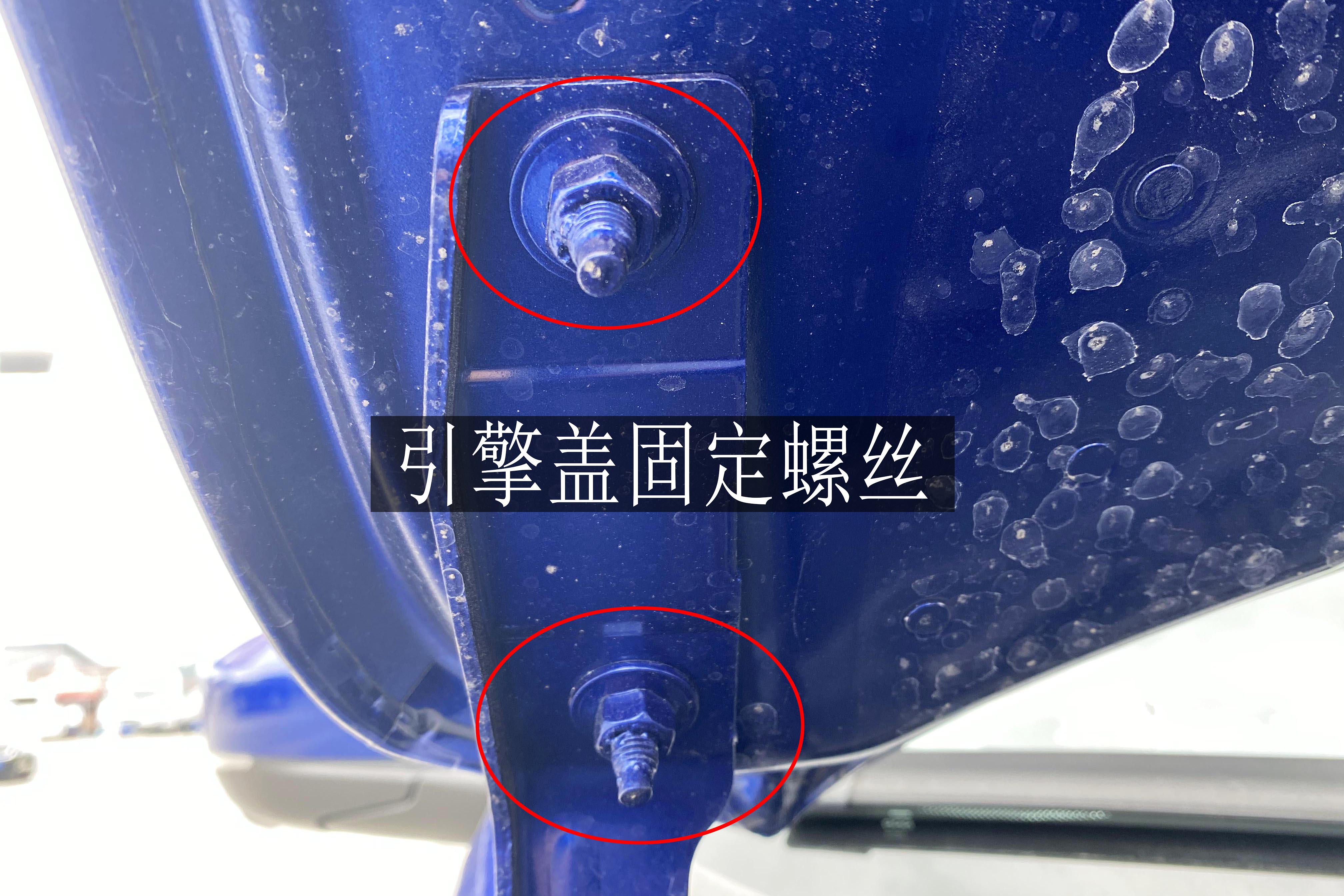 莱万特gts百公里加速,莱万特gts落地价