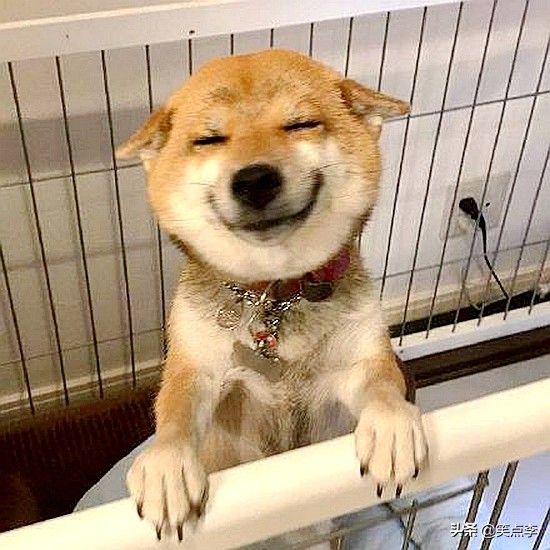 超搞笑的搞笑故事能让人笑喷,生活中的幽默搞笑故事