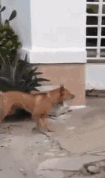 学会这招不愁找不到女朋友,学会这几招不怕找不到女朋友