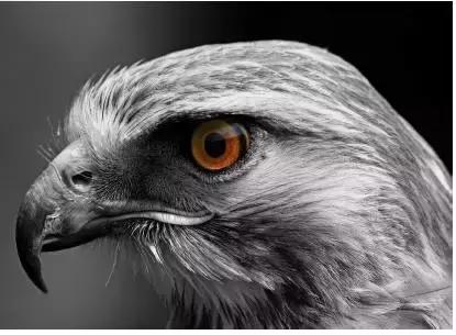 康复界名言,康复就是治愈疾病这个说法正确吗