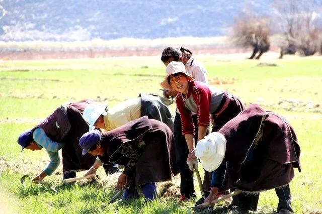 一位拥有多重身份的现代职业女性，偏偏钟情于*藏西**，是有病吗？