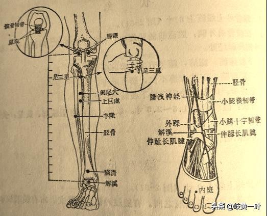 便秘的辩证针灸,便秘也分5种,你们知道吗?