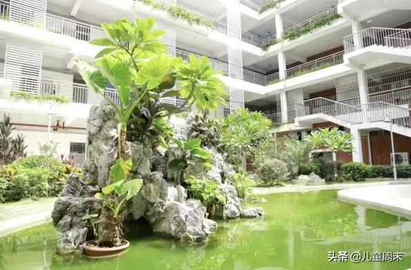 深圳福田南园街道附近小学,深圳福田小学排名一览表