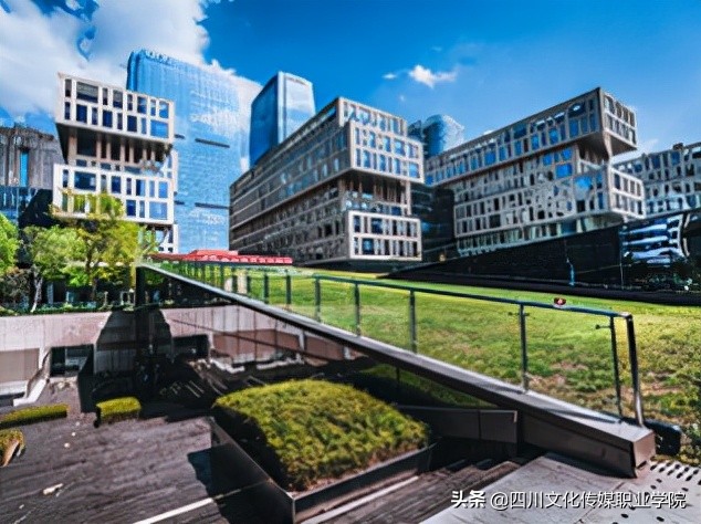 围观文传版“令人心动的offer”