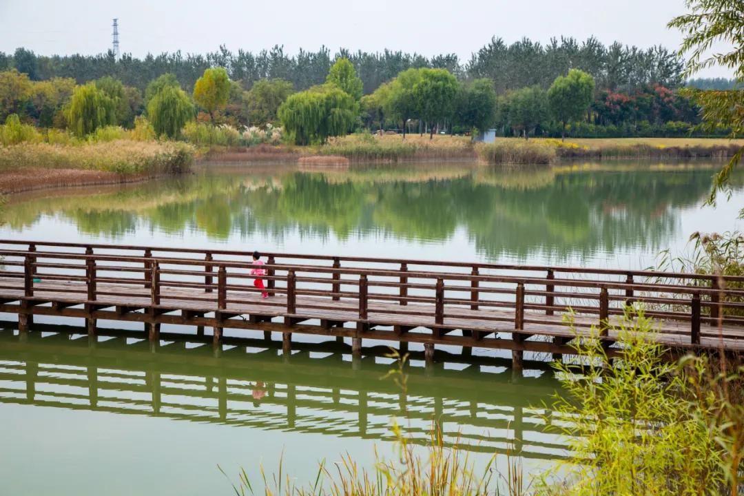 济南湿地公园值得去吗,济南湿地公园旅游攻略