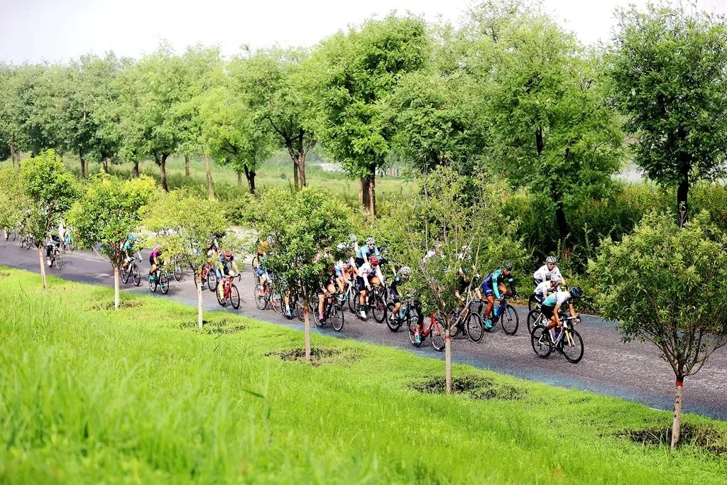 我要上全运2019陕西,我要上全运汉中