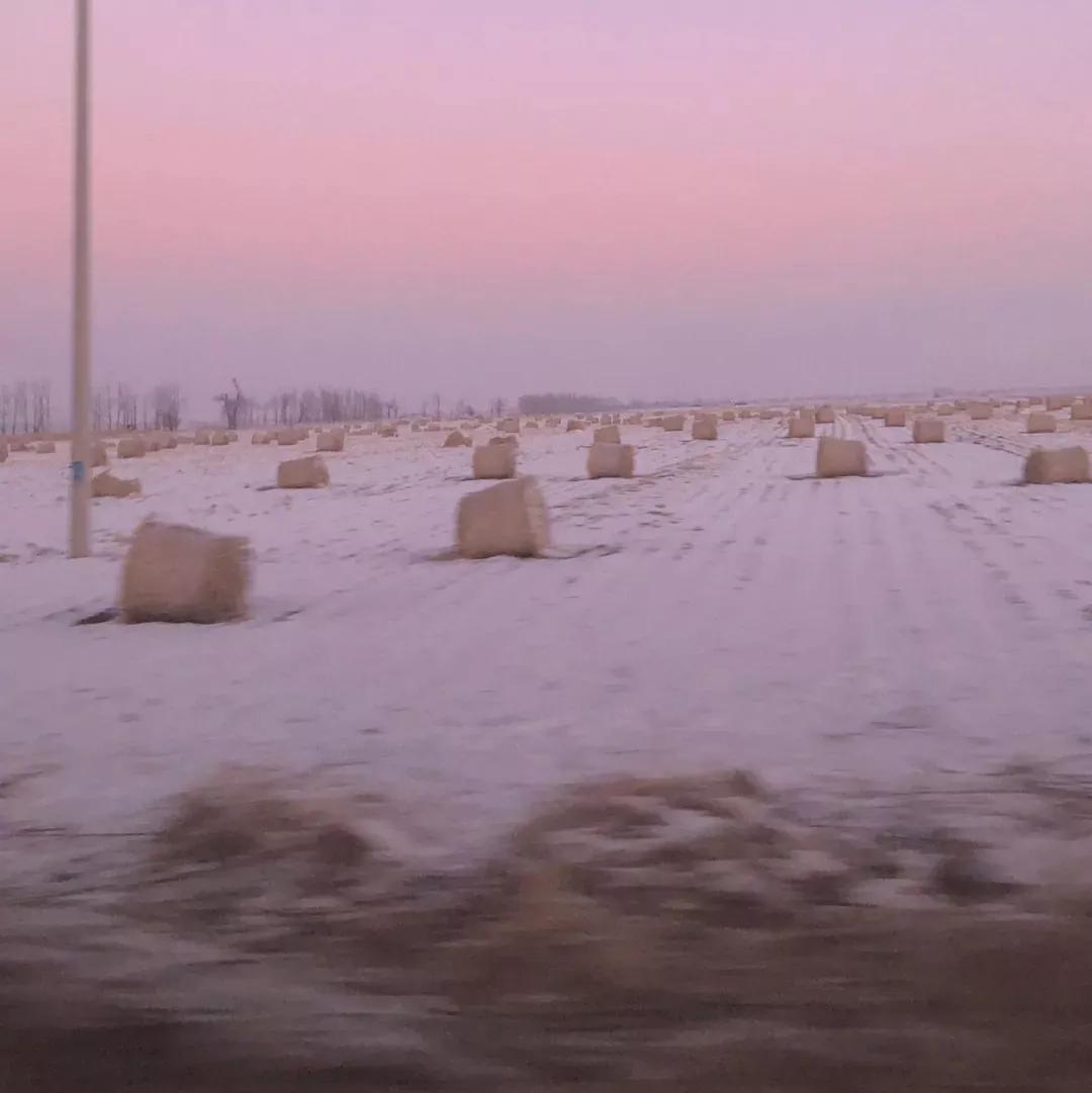 重生纯爱文推荐,纯爱重生年代文种田文