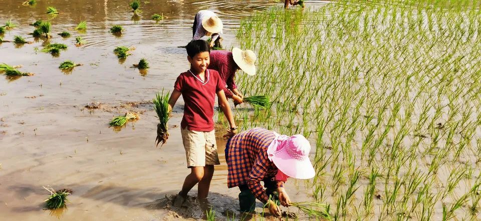 腾讯高管辞职隐居,腾讯元老隐居合肥