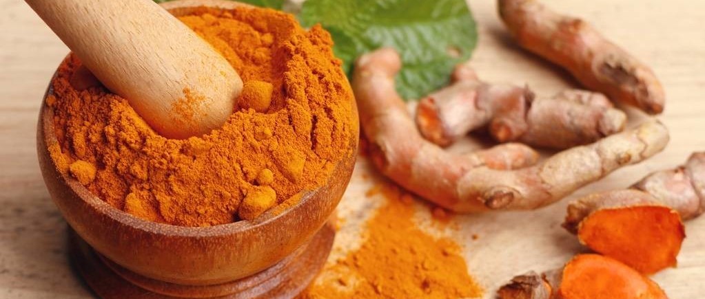 中药姜黄素能分布到慢淋白血病的单核细胞当中起到辅助杀肿瘤作用