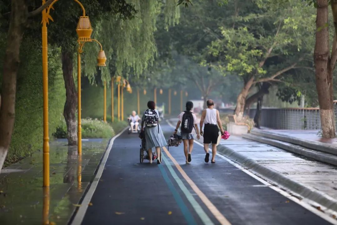 全长240公里的锦江绿道！太震撼了