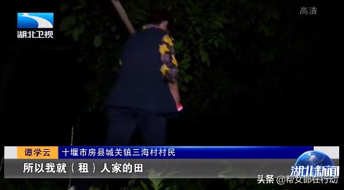致富路上的房县米酒,湖北房县致富路上的黄酒香