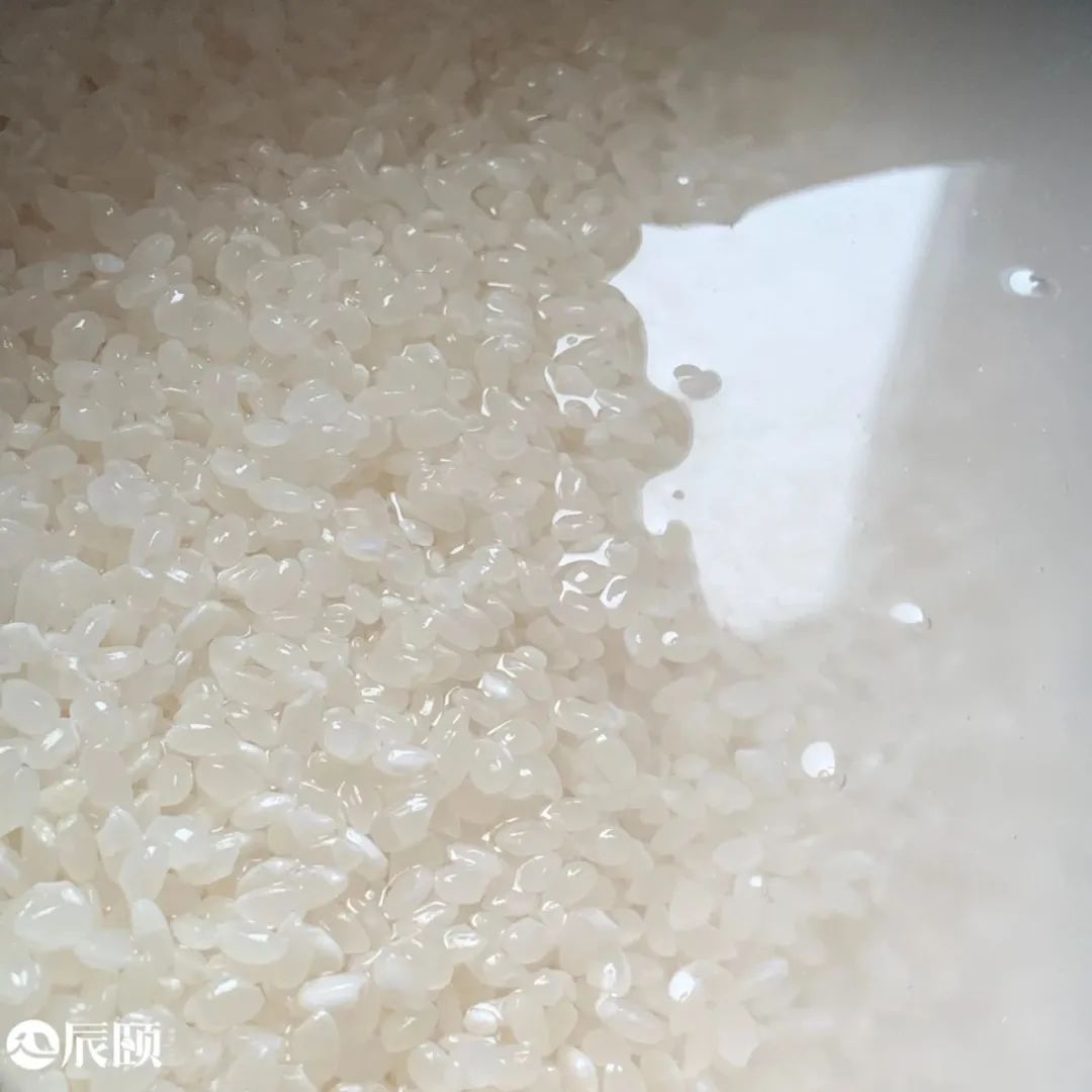 东北珍珠米用来做蛋炒饭可以吗,现磨现发东北珍珠米为什么好吃