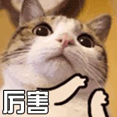 股市回暖助推爆款基金再现,今年能跑赢大盘的场外基金