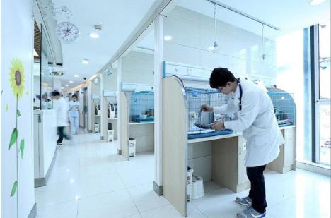 宠物体检行业,宠物医生这个行业前景