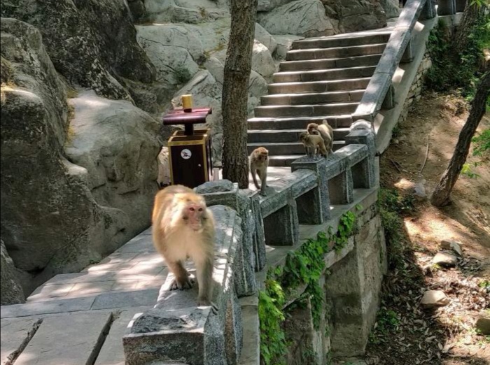 孙悟空的旅游胜地在什么地方,孙悟空的老家花果山水帘洞