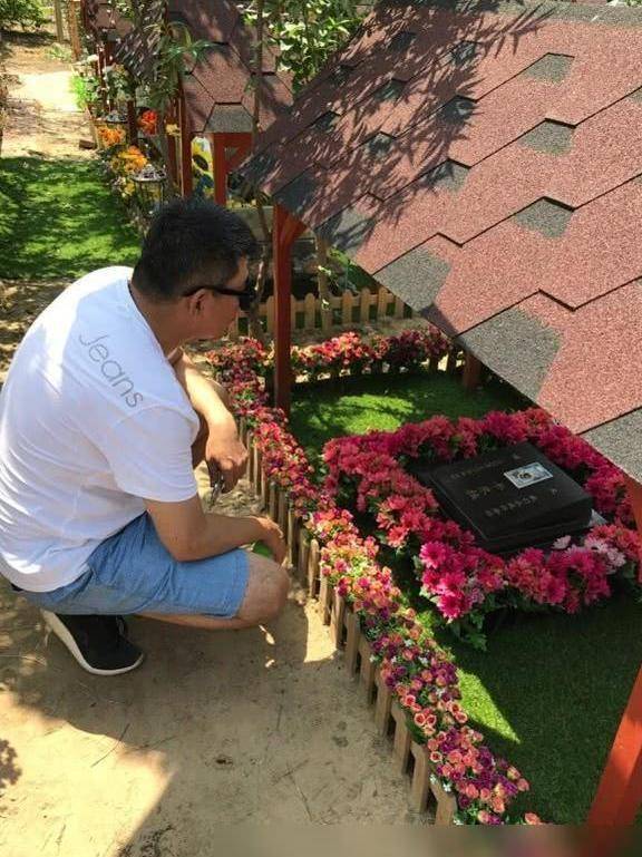 64岁也不生孩子,却花60万克隆爱犬当儿女,孙淳可不是图新鲜