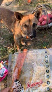 喜欢很久的小哥哥,喜欢了很久的小哥哥