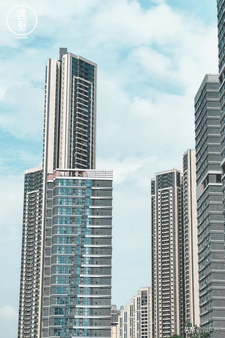 广州芳村未来发展趋势,广州荔湾芳村cbd