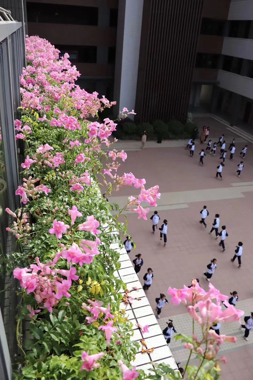 天河区志远学校,天河区志远小学最新消息