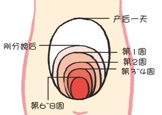 产后做好五件事让老公对你爱不完,产后最应该做的几项康复