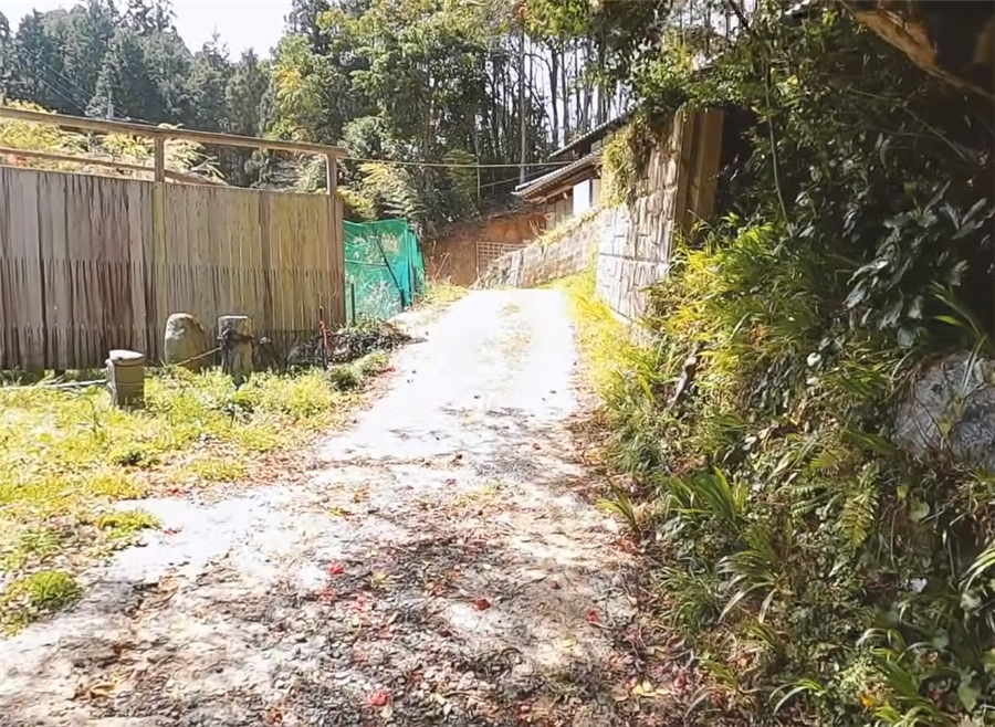 日本男子买江户时代深山老宅，带妻女住进89㎡的家，过起田园生活