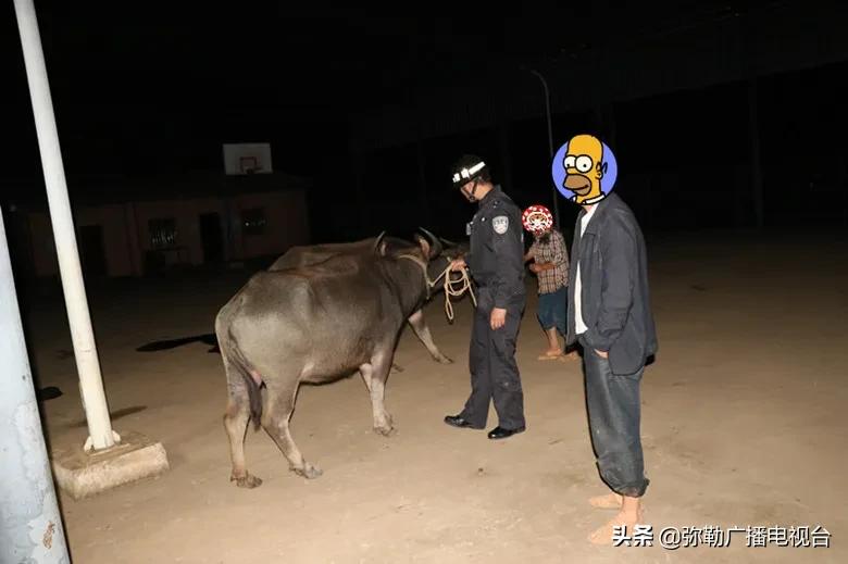 交警解救被拐卖妇女,民警解救被拐卖少女