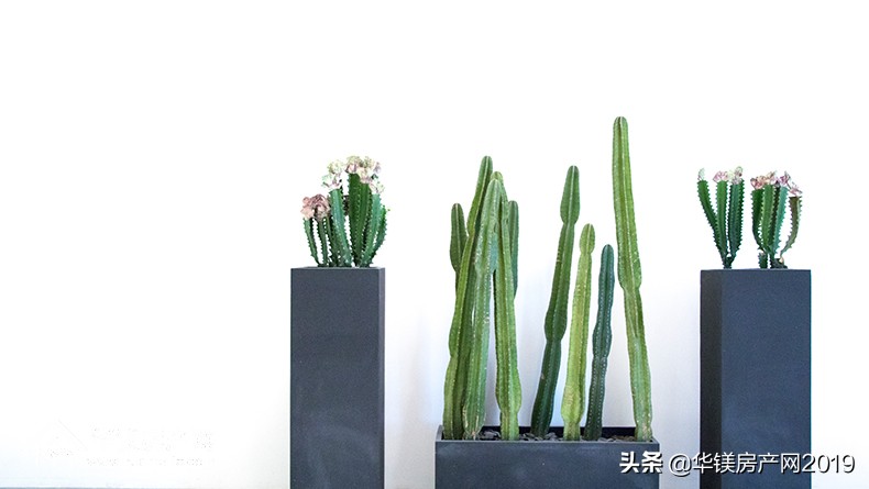 缺东南角房子化解方法,房子缺东南角但东南角是餐厅