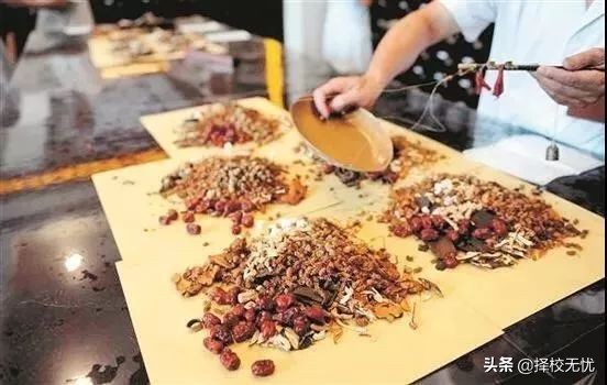 志愿填报升学无忧,宁波卫生职业技术学院单招