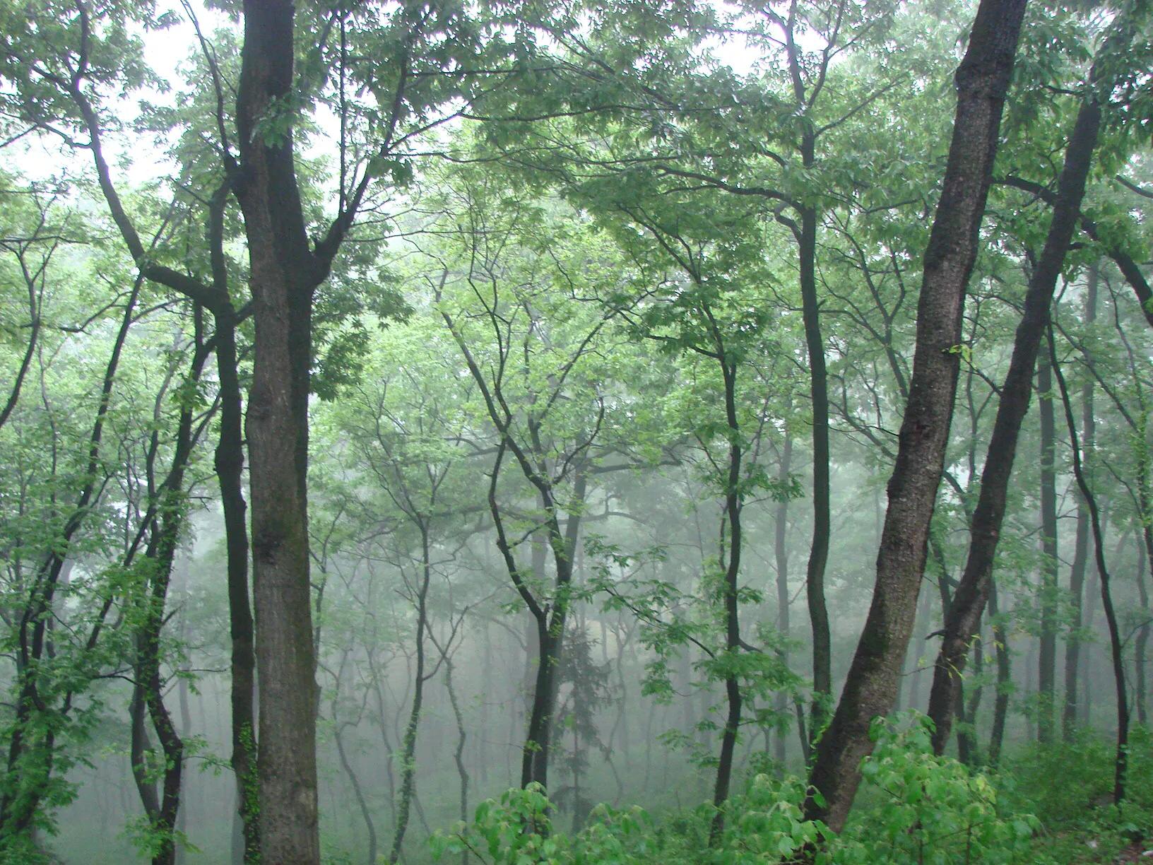 什么软件可以把照片生成手绘,怎么用软件把照片变成画