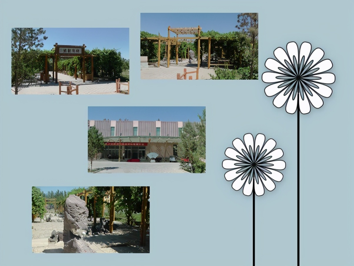 2013年E-1*疆新**东南西北中班车自助游-东