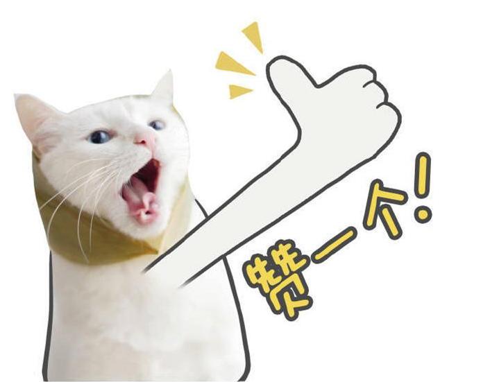 学会这一招你也能自带锦鲤体质，一分钱不花玩翻三亚！