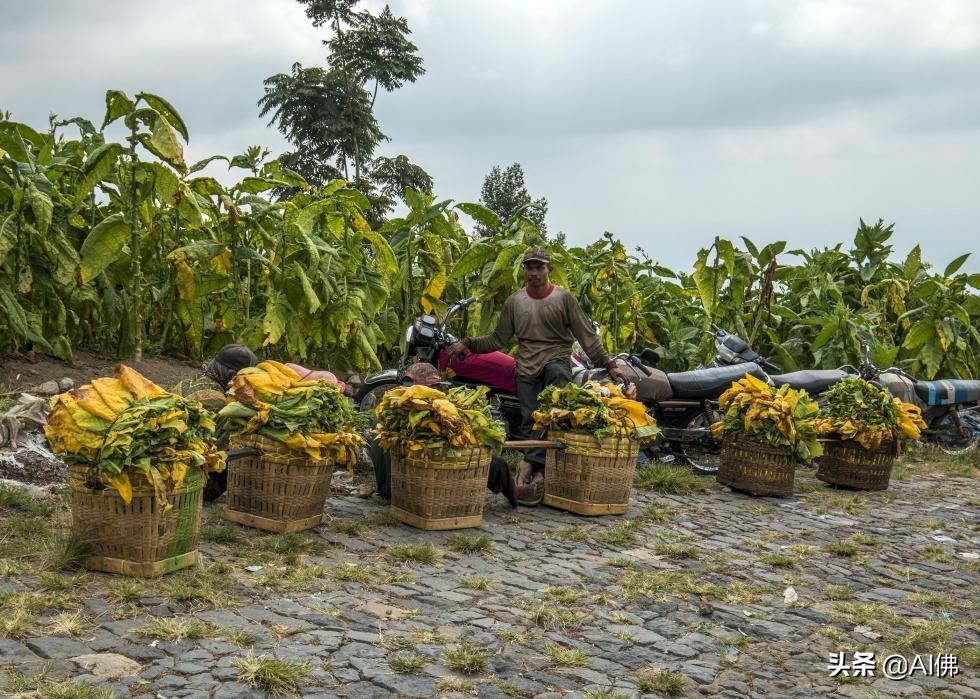 全球50个国家和地区首富