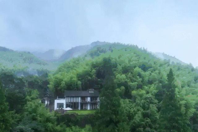 民宿投资合伙人骗局,以做民宿投资为由的骗局