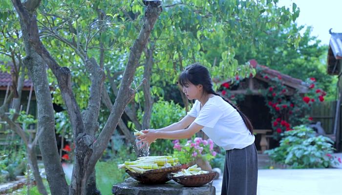 李子柒挖冬笋视频全集,李子柒挖竹笋完整视频