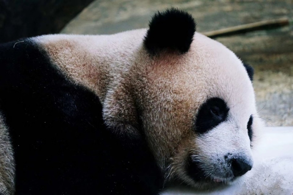 我的摄影装备,索尼微单a5000和a5100哪个好