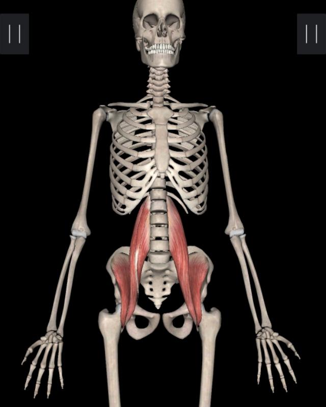 不懂健身动作练到的肌肉,锻炼髂腰肌最有效方法图解