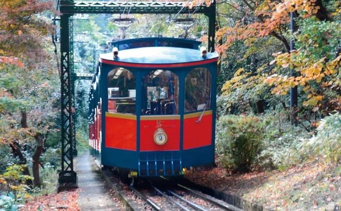 宝藏城市有什么好吃的,神户打卡地