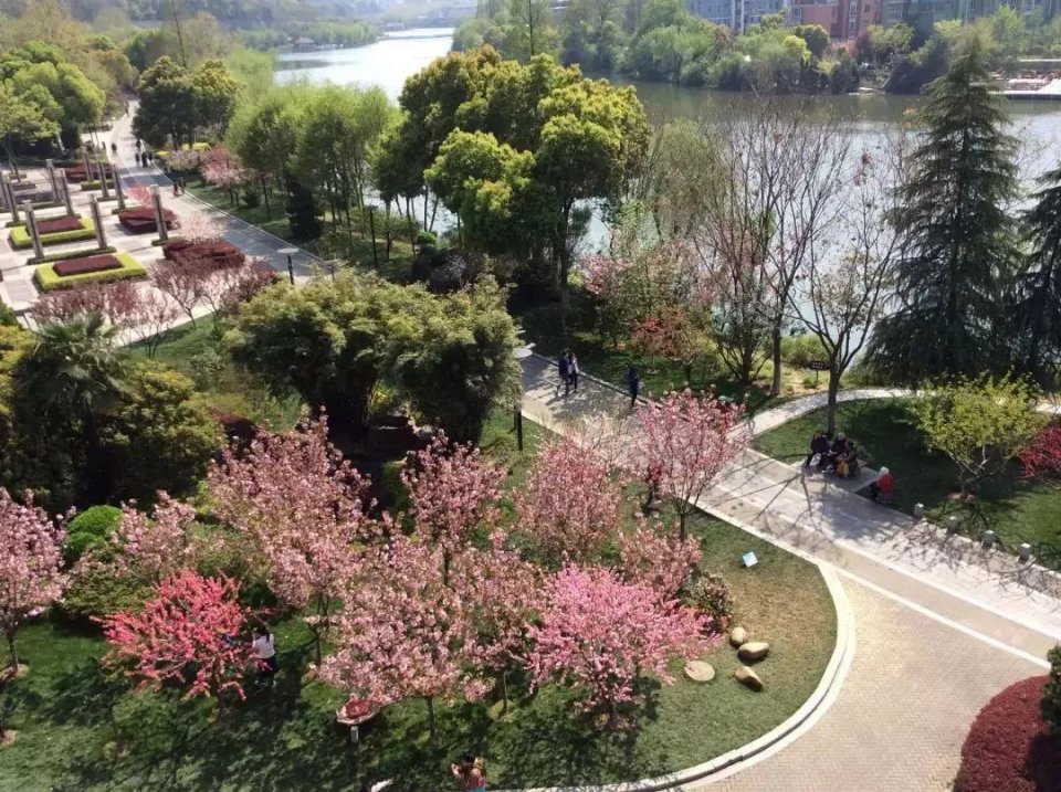 南京免费的公园,太全了