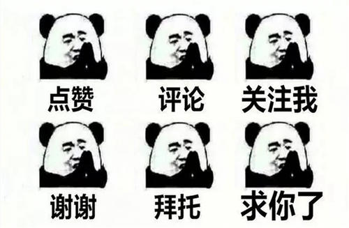 这4个方面，是养猪春季免疫接种的要点！不要走弯路哦