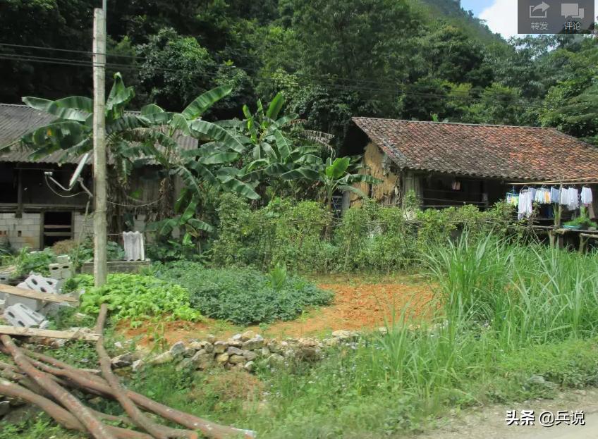 越南老兵重回当年战斗过的洞穴 (越南老兵回忆丛林战争)