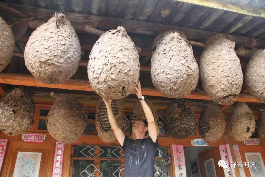 筑巢引凤吸引农民工返乡就业创业,大理州春节务工返乡